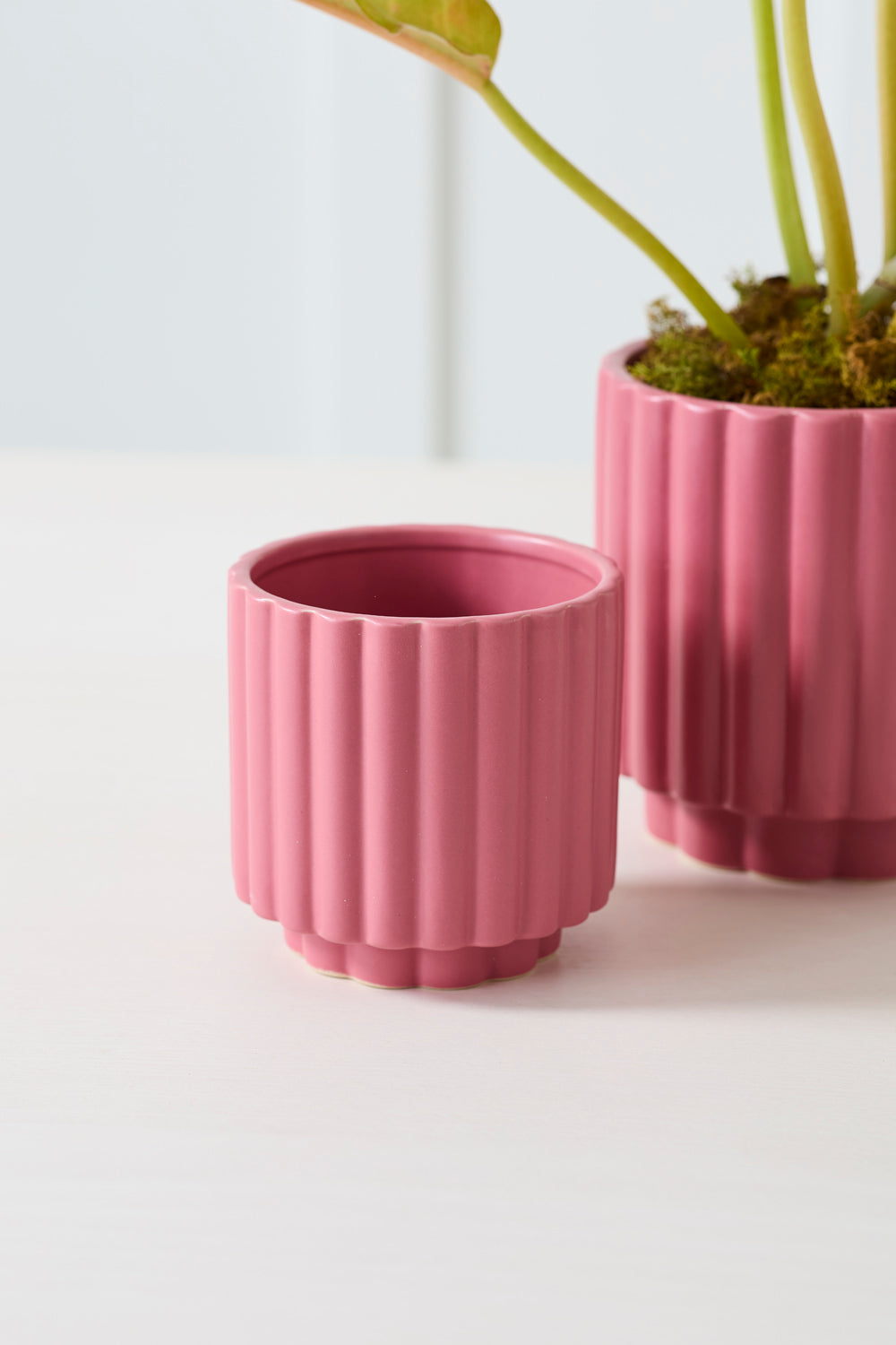 Carmen Pot | Pink