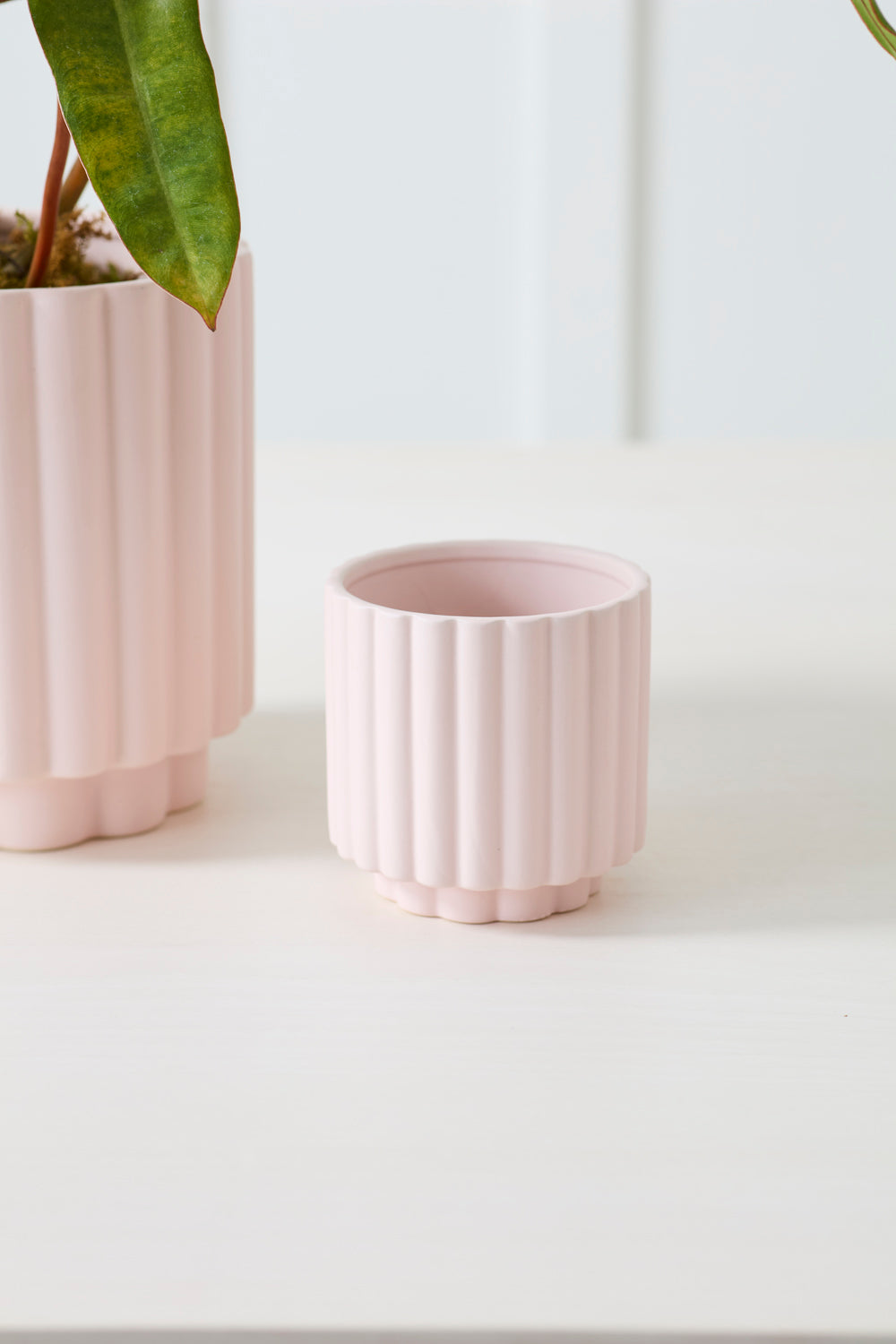 Carmen Pot | Blush