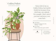 Load image into Gallery viewer, House Plants and Their F*cked-up Thoughts
