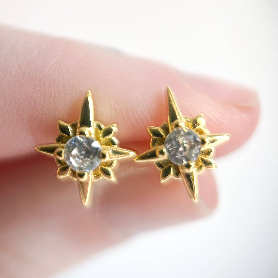 Compass Star Stud Earrings