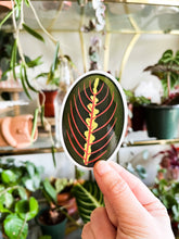 Load image into Gallery viewer, Red Prayer Plant Leaf Sticker
