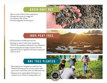 Load image into Gallery viewer, Bonsai Soil Mix
