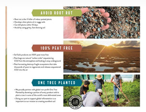 Bonsai Soil Mix