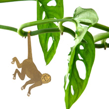 Load image into Gallery viewer, Plant Accent | Spider Monkey
