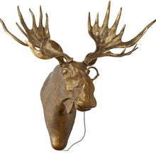 Load image into Gallery viewer, Moose Head
