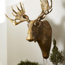 Load image into Gallery viewer, Moose Head
