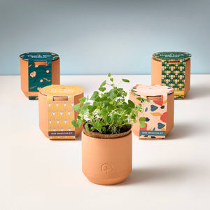 Terracotta Grow Kits