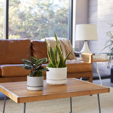 Load image into Gallery viewer, Round Two Planter | White
