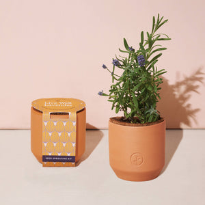 Terracotta Grow Kits