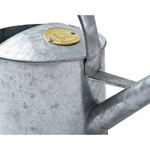 Load image into Gallery viewer, Quinn Watering Can | Galvanized
