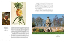 Load image into Gallery viewer, The Conservatory
