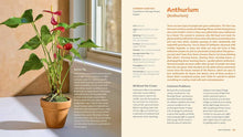 Load image into Gallery viewer, For the Love of Houseplants
