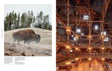 Load image into Gallery viewer, Lodge: An Indoorsy Tour of America&#39;s National Parks
