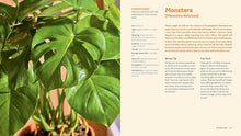 Load image into Gallery viewer, For the Love of Houseplants
