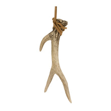 Load image into Gallery viewer, Reindeer Antler Ornament
