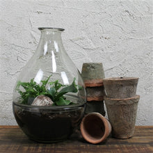 Load image into Gallery viewer, Glass Terrarium
