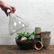 Load image into Gallery viewer, Glass Terrarium
