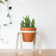 Load image into Gallery viewer, The Perch Planter
