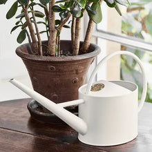 Load image into Gallery viewer, Quinn Watering Can | Buttermilk
