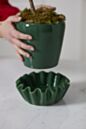 Load image into Gallery viewer, Lorelai Pot

