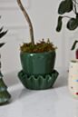 Load image into Gallery viewer, Lorelai Pot
