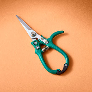 Pruning Shears