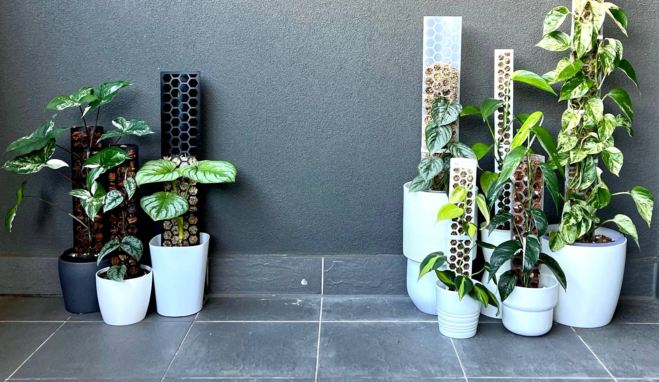 Stackable Moss Pole – Botanical Dwellings