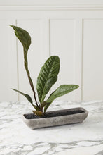 Load image into Gallery viewer, Shoal Trough
