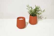 Load image into Gallery viewer, Rooted Candle l Rosemary &amp; Cedar
