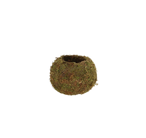Kokedama Ball