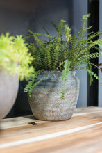 Load image into Gallery viewer, Earthy Pot
