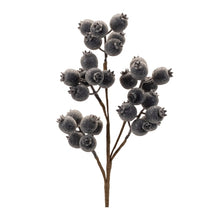 Load image into Gallery viewer, Frosted Blue Berry Spray
