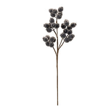 Load image into Gallery viewer, Frosted Blue Berry Spray
