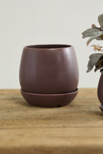 Load image into Gallery viewer, Dalton Pot | Burgundy
