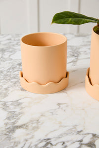 Pissaro Saucer | Peach