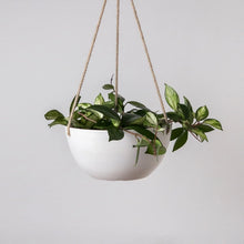 Load image into Gallery viewer, Rounded Signature Hanging Planter l Black
