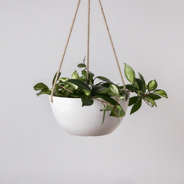 Rounded Signature Hanging Planter | White