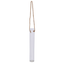 Load image into Gallery viewer, Hanging Open Terrarium Glass Tube
