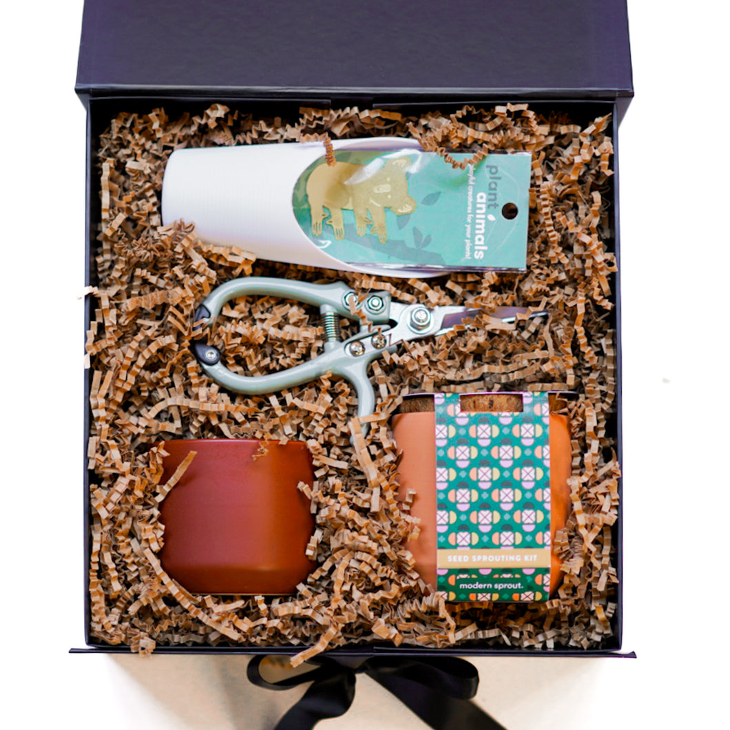 Plant Parent Gift Box