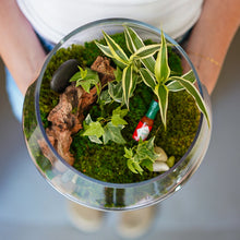 Load image into Gallery viewer, November Terrarium Workshop
