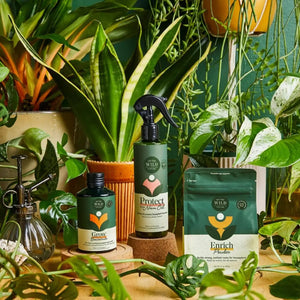 Essential Plant Care Kit | Mini