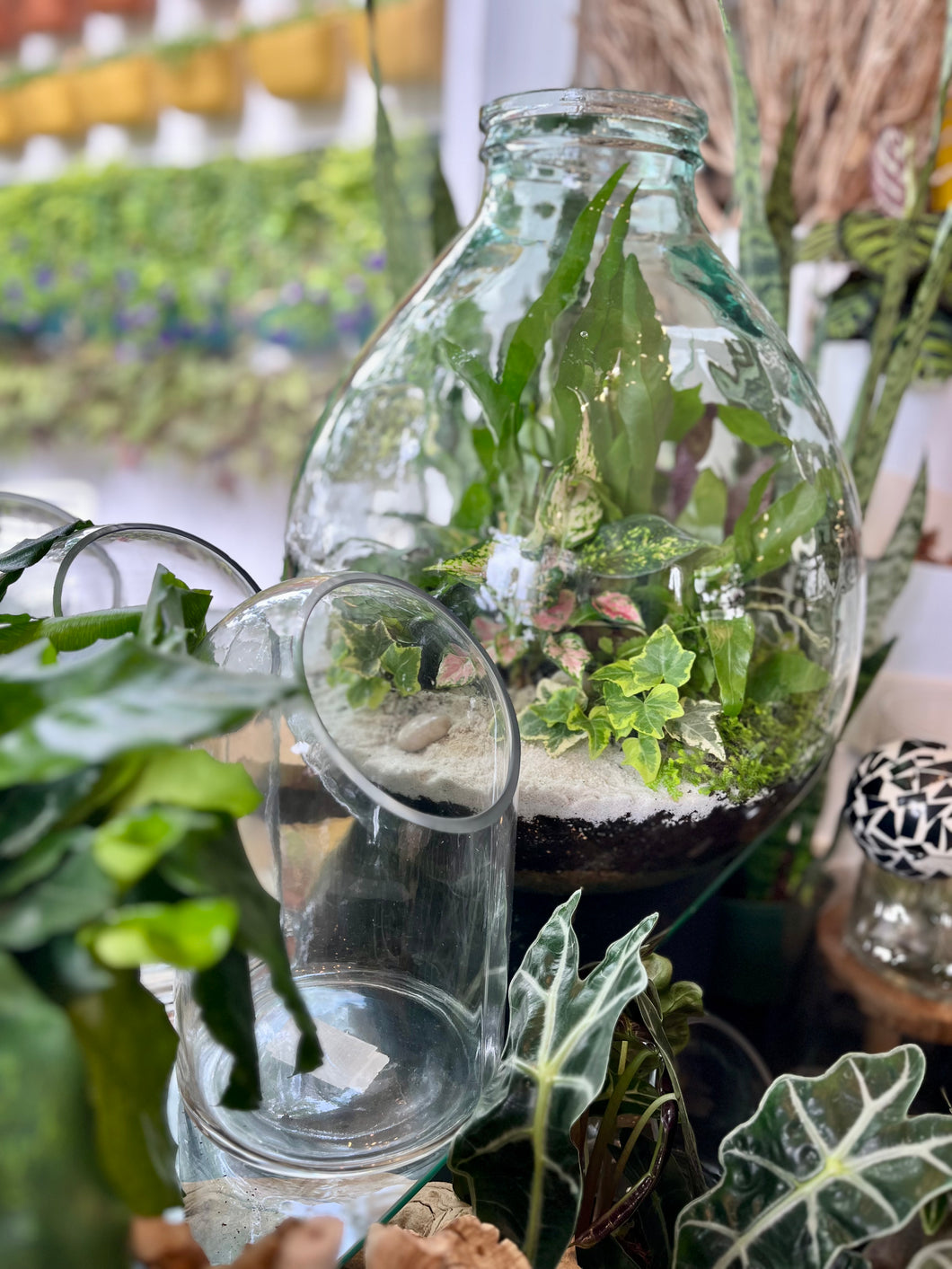 Terrarium Workshop