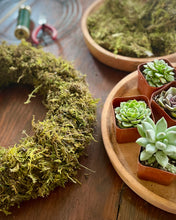 Load image into Gallery viewer, Living Succulent Wreath Workshop
