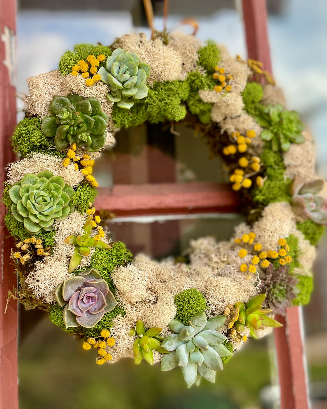 Living Succulent Wreath Workshop