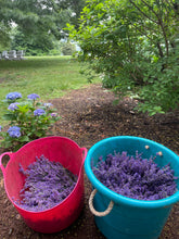 Load image into Gallery viewer, Lavender Wreath Workshop

