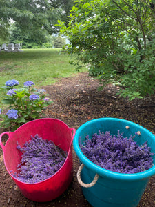 Lavender Wreath Workshop