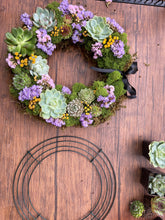 Load image into Gallery viewer, Succulent Wreath Workshop
