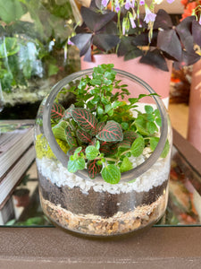 Terrarium Workshop