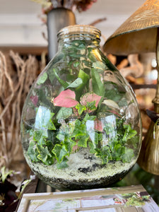 Terrarium Workshop