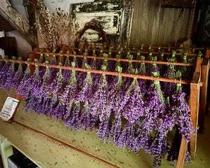 Lavender Wreath Workshop